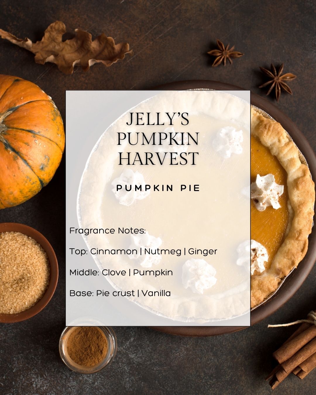 JELLY'S PUMPKIN HARVEST - Limited Edition