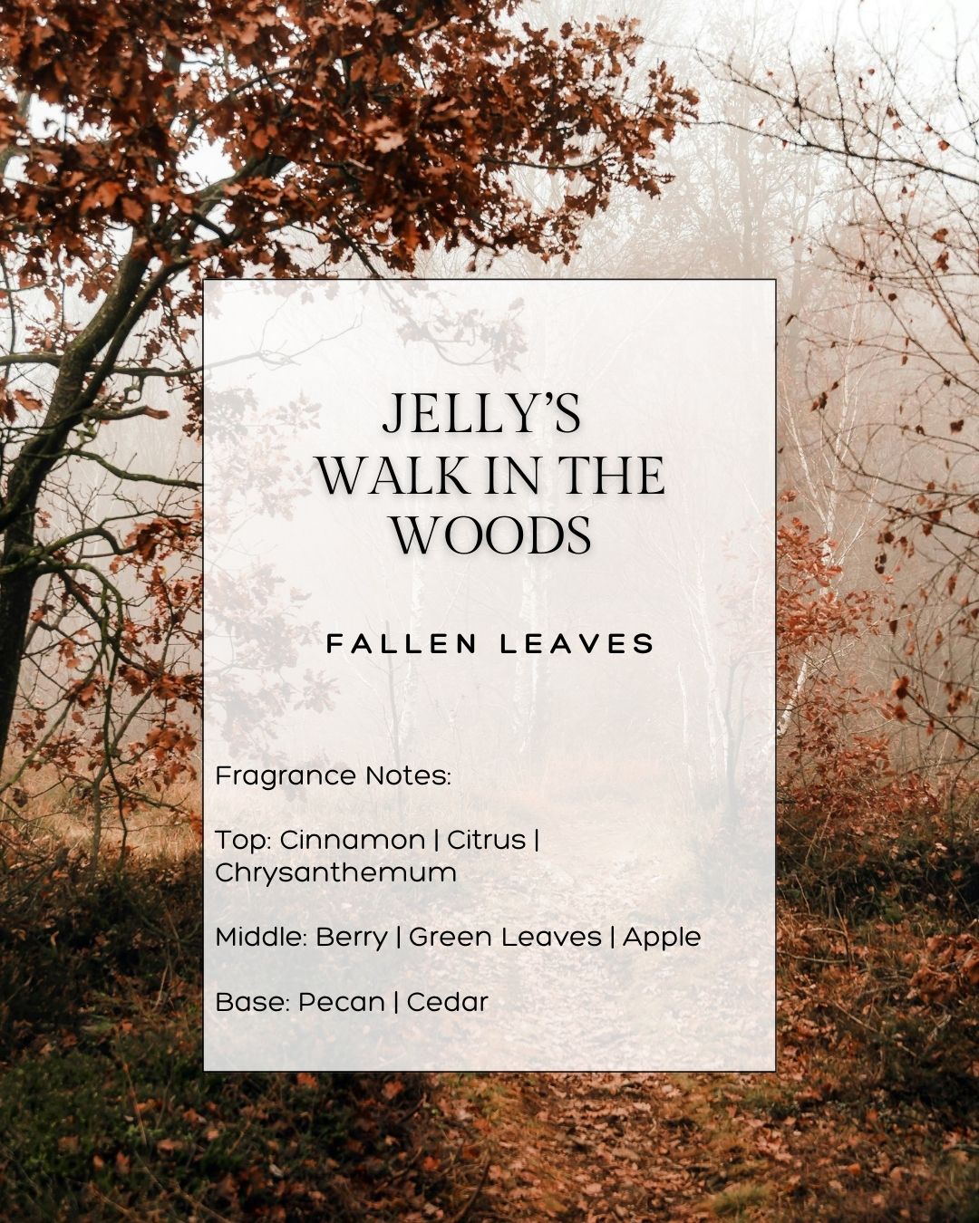 JELLY'S WALK IN THE WOODS