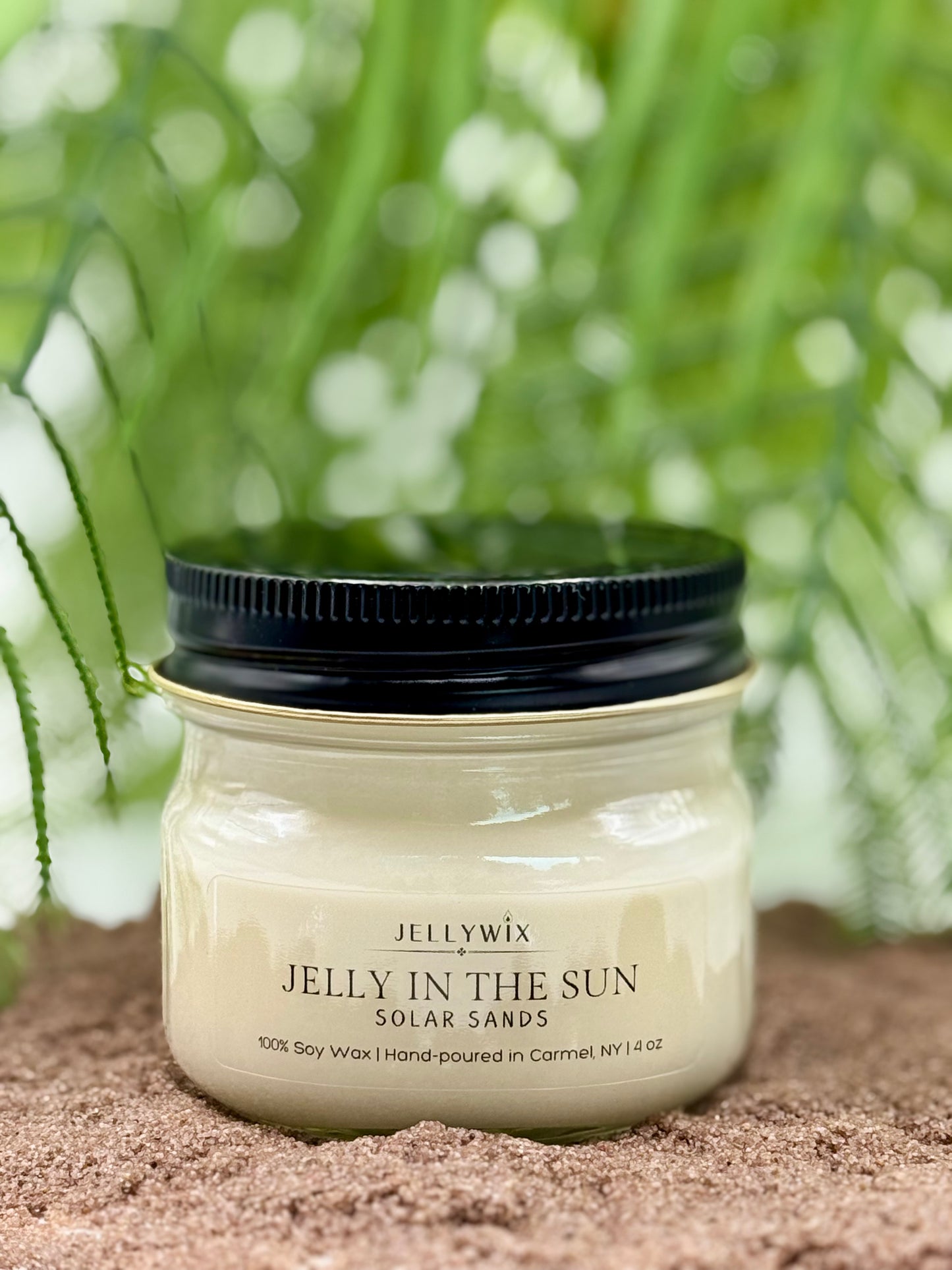 JELLY IN THE SUN