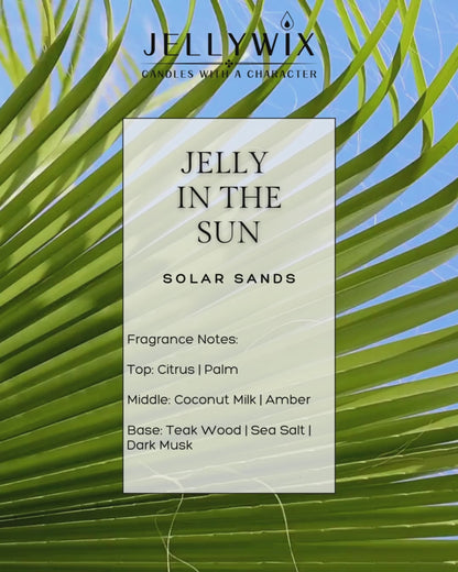JELLY IN THE SUN