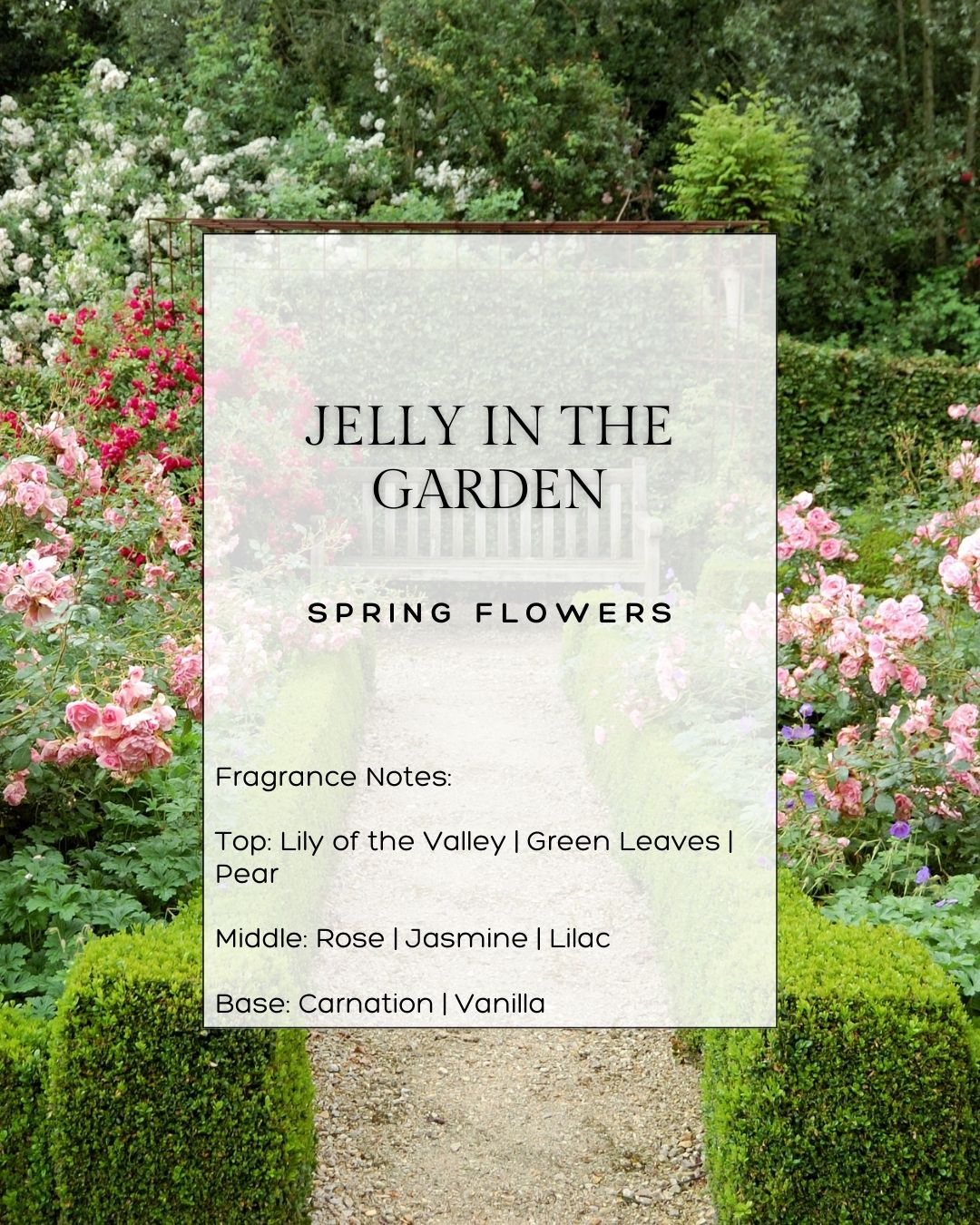 JELLY IN THE GARDEN